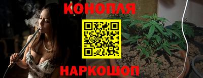 прущие грибы Краснознаменск