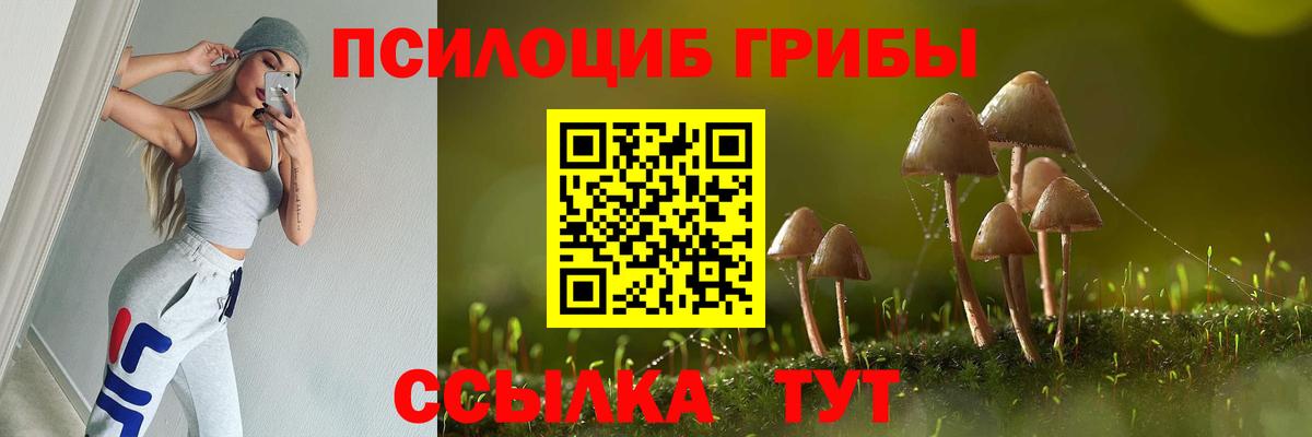 Йошкар-Ола  Галлюциногенные грибы Psilocybine cubensis  Вход с VPN  где можно купить   Псилоцибиновые грибы мухоморы 